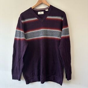 Men's V-Neck Waffle Knit Sweater in Purple and Gray Stripes